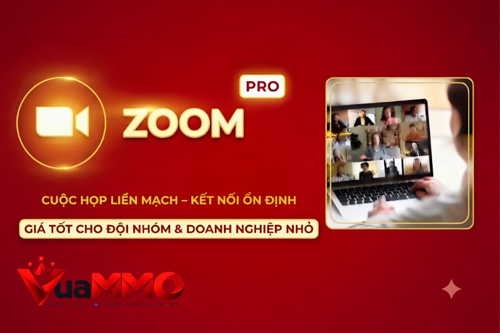 Zoom Pro