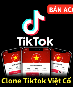 Tài khoản TikTok Việt Nam từ New đến 1 Năm, đa dạng phân khúc chất lượng