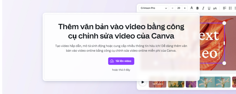 Them-chu-vao-video